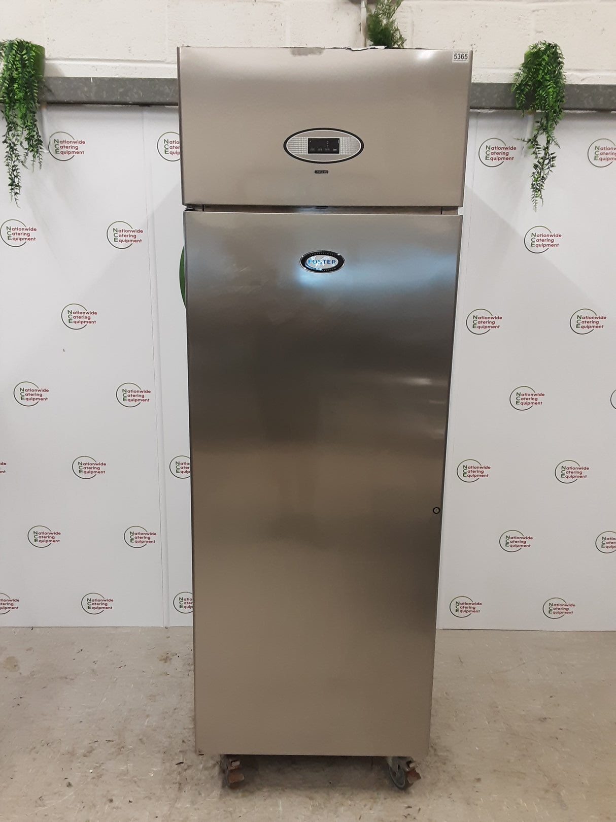 Foster Single Upright Freezer, Model- PSG600L (NCE5365)