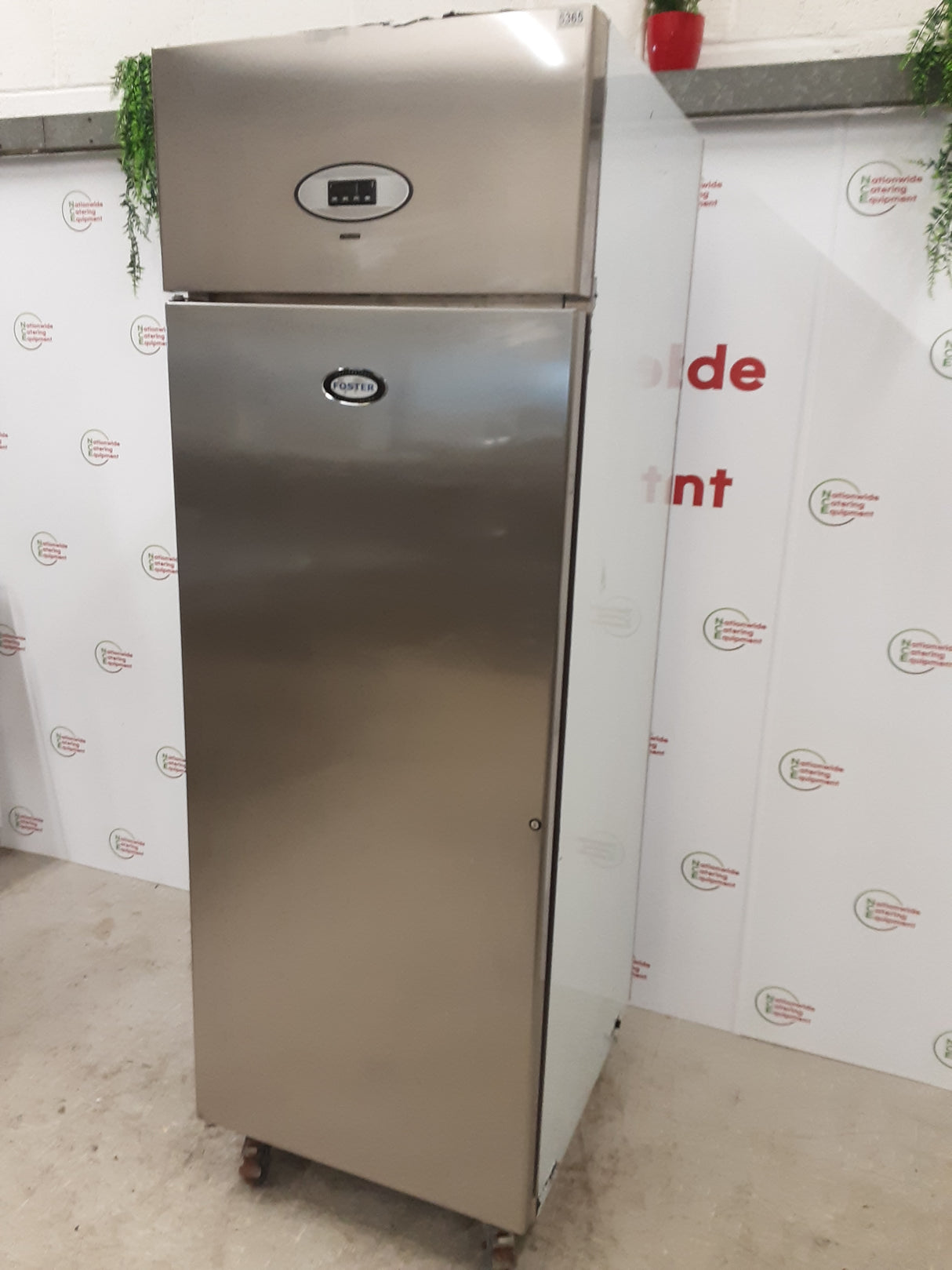 Foster Single Upright Freezer, Model- PSG600L (NCE5365)