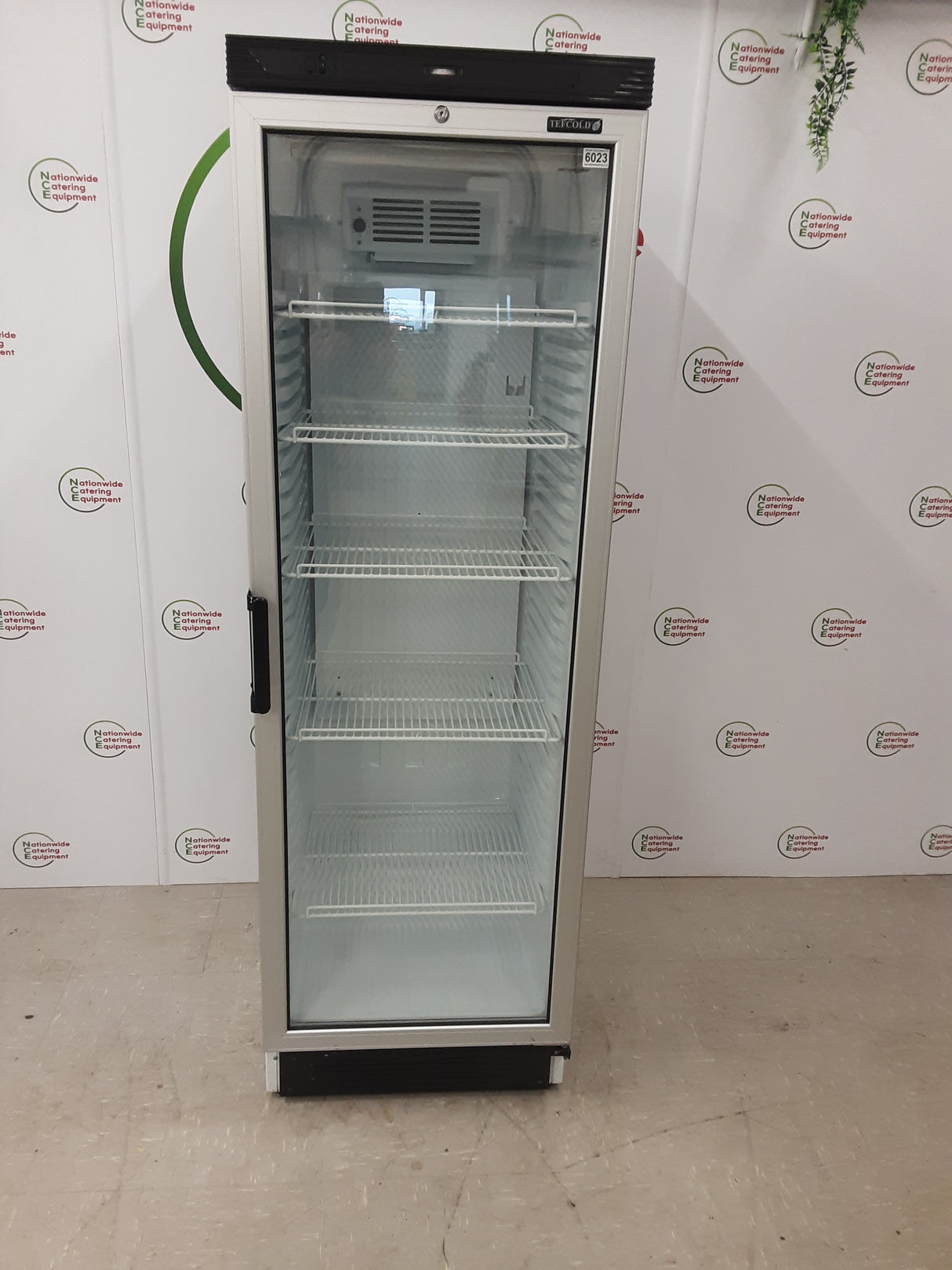 Tefcold Single Upright Display Fridge,Model- FS1380 (NCE6023)