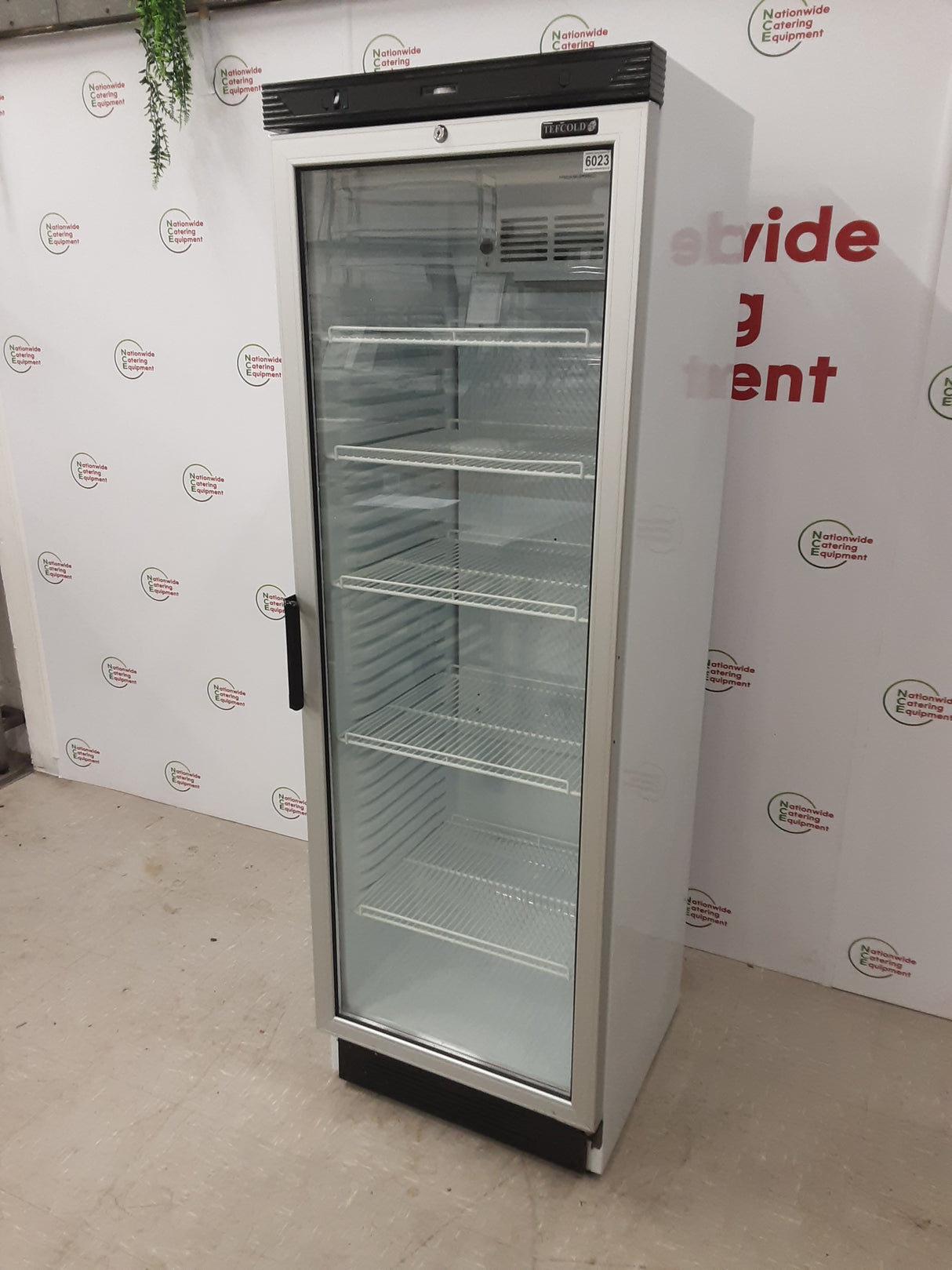 Tefcold Single Upright Display Fridge,Model- FS1380 (NCE6023)