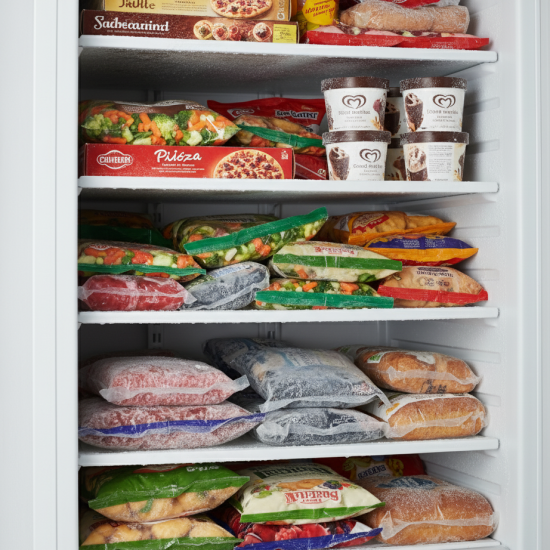 Prodis Stainless Steel Single Upright Freezer, 341L Capacity, Model- HC410FSS. Delivery Included