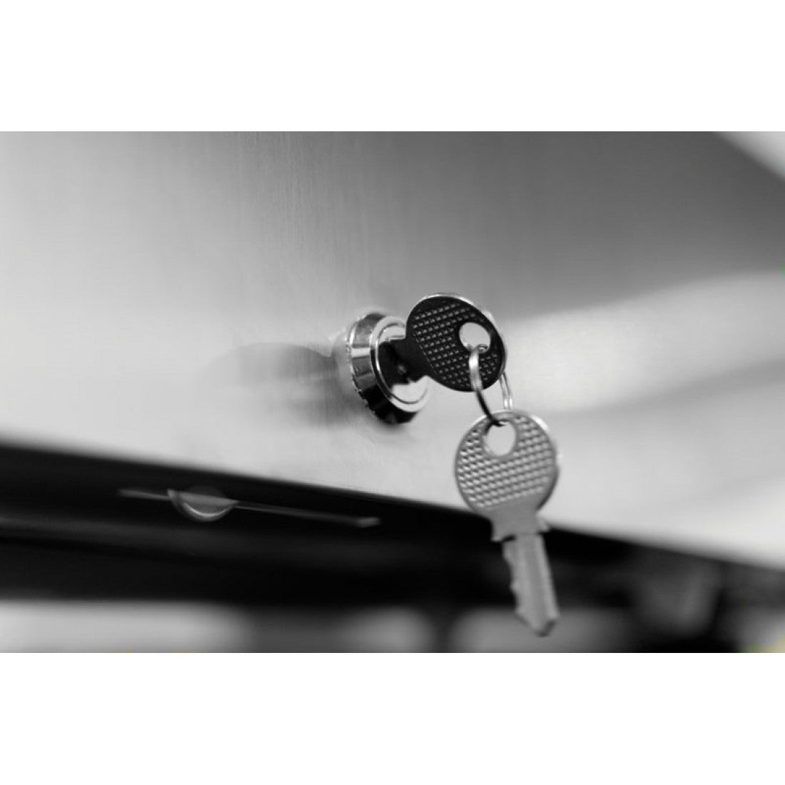 Prodis Stainless Steel Double Door Upright Freezer, Model-GRN-2F. Delivery Included