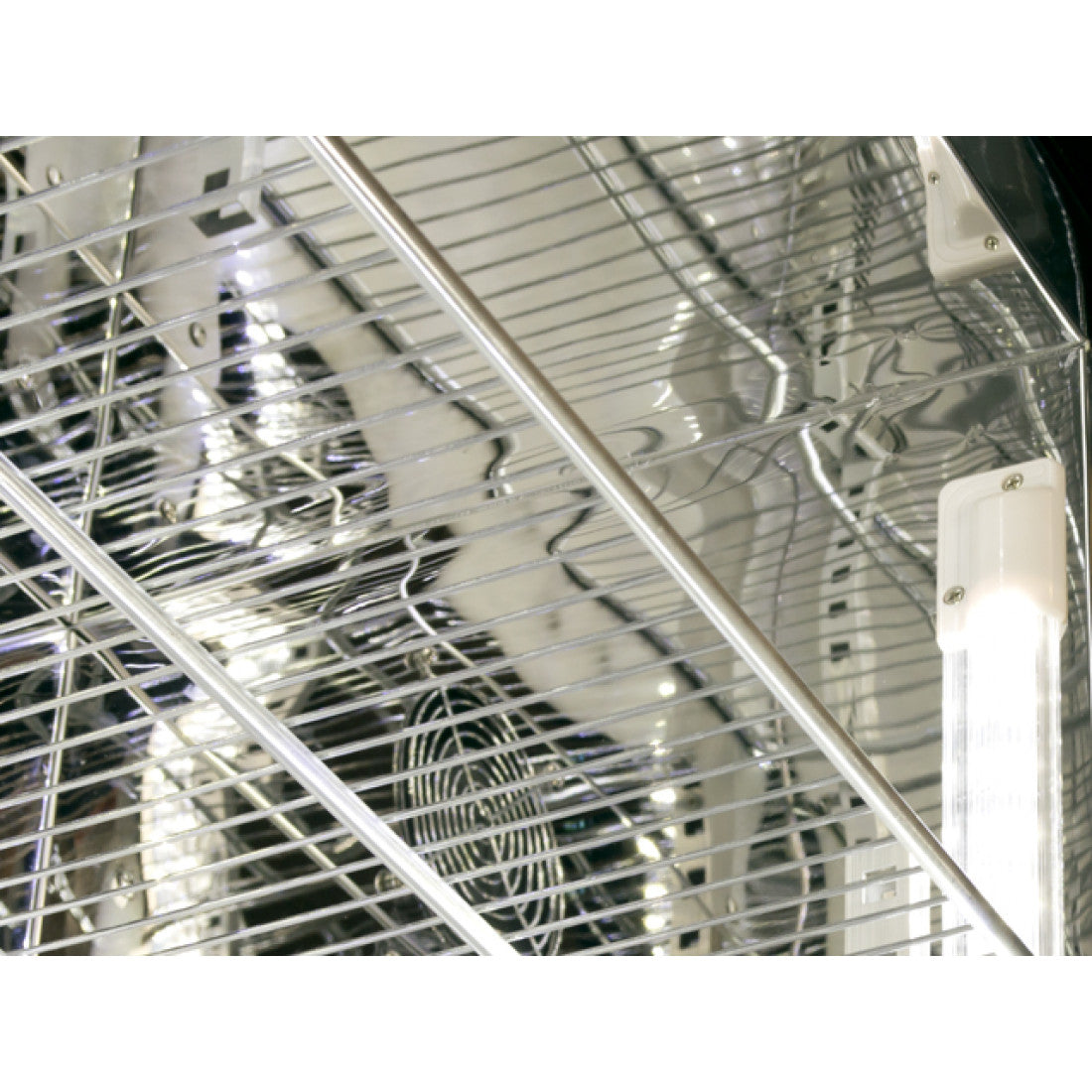 Prodis Double Hinged Door Stainless Steel Finish Upright Bottle Cooler,Model- NT20ST-HC. Delivery Included